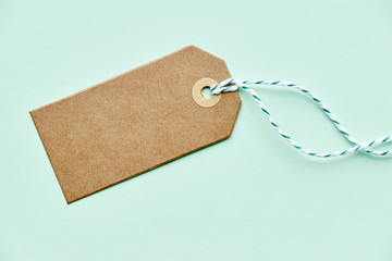 Blank brown gift tag with geen and white twine. Kraft carton label on light green background with copy space. Shopping, sale, celebration or anniversary concept.