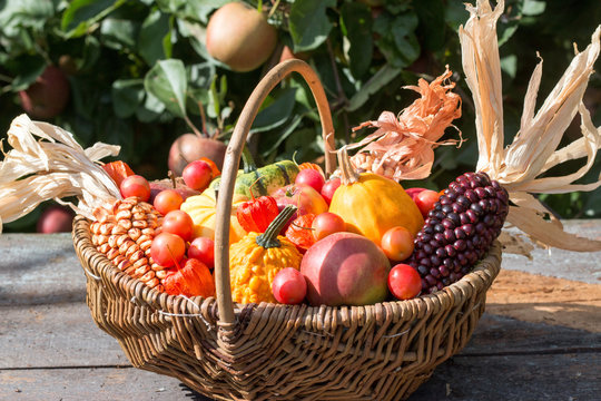 Bunter Herbstkorb mit &Auml;pfeln,Mirabellen,K&uuml;rbis und Mais