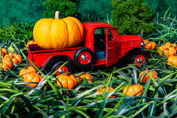 red toy pick up truck with large pumpkin in pumpkin patch