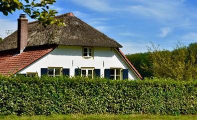 Fototapeta na wymiar Dutch farmhouse behind hedge with half a thatched roof
