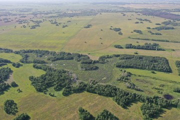 Fototapeta premium fields and forests in summer, aerial view, in the Novosibirsk region, Russia