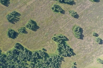 fields and forests in summer, aerial view, in the Novosibirsk region, Russia