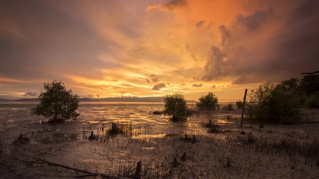 Time lapse sunset at mangrove swamp at Juru, Pulau Pinang, Malaysia. Background is the city Penang island.
