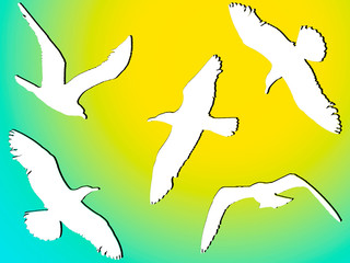 white silhouettes of flying birds against the sky and the bright sun.