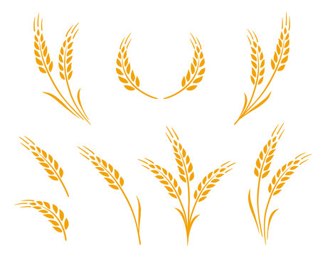 golden natural wheat ears icons logo set