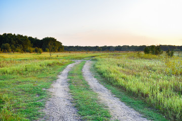 Fototapeta premium The road to the forest. Autumn landscape.