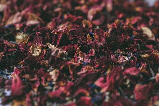 Flower petals background. Close up view of rose and lavender dried petals with selective focus. 