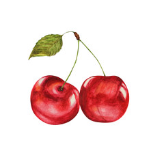 two ripe cherry, red, sweet, watercolor illustration, isolated on white background
