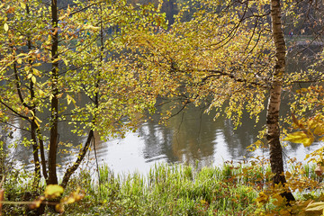 Yellow autumn trees on the background of the lake