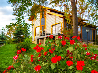 Fototapeta na wymiar Bright flowers on the background of a country house. Landscape design. Blooming red impatiens. Rent cottages. Outdoor recreation. Rest away from the city. Sale of plants.