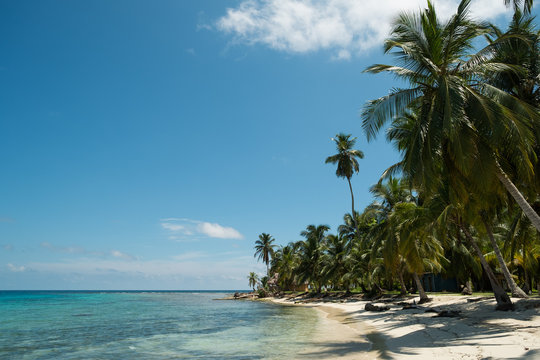 Tropical Island scene in Panama.