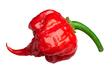 Carolina reaper pepper c. chinense, paths