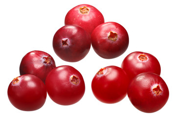 Fototapeta na wymiar Three cranberries v. oxycoccs, paths