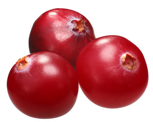 Three cranberries v. oxycoccs, paths