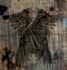 Dark art composition. Angels Wings