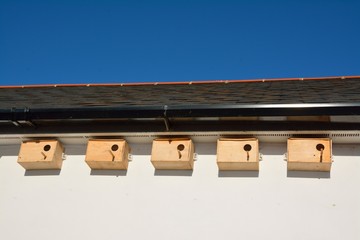 birrds nest boxes under house eaves