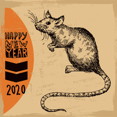 Rat sketch vector illustrations. Hand drawn picture with mouse.
