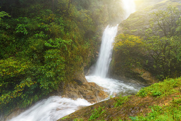 Obraz premium Beautiful deep forest waterfall in Chiang Mai, Thailand.