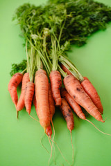 Beautiful fresh young carrots on a green background