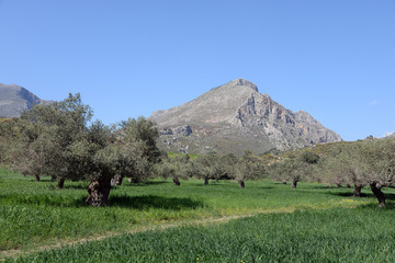 Obraz premium Weg am Ida-Gebirge, Kreta