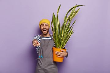 Pleased unshaven guy points at camera, has broad smile, shows white teeth, carries potted plant,...