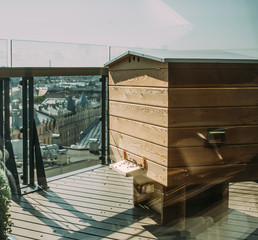 Bees in city. Hives on the roof, urban beekeeping