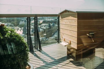 Bees in city. Hives on the roof, urban beekeeping