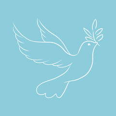 Beautiful, line sketch, dove, bird, illustration