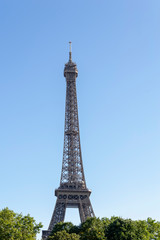 Eiffel Tower view