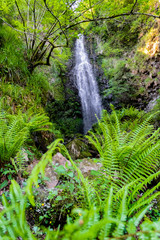 cold morning in the forest of Belaustegui, on the hill of Gorbea