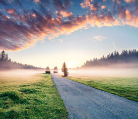 Fantastic summer sunrise in Durmitor Nacionalni Park. Impressive foggy scene of Montenegro countryside, Zabljak town location. Beautiful world of Mediterranean countries. Traveling concept background.