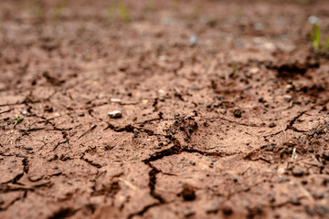 soil with soil