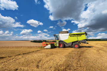 Combine harvester in action on wheat field.