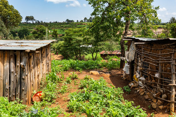 African village