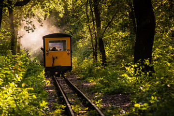 Wagons pulled by a steam locomotive in forest, Railway cars in the woods