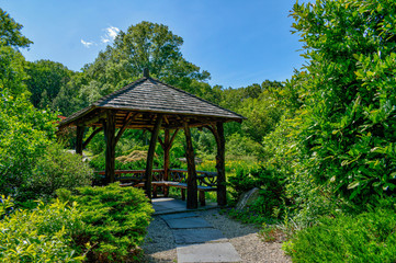 Naklejka premium Canopy