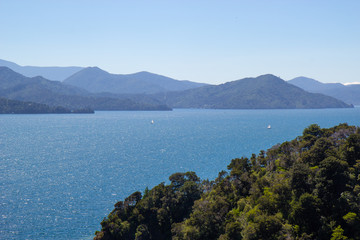 Fototapeta na wymiar seascape view in Marlborough region of New Zealand