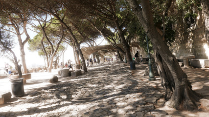 Jardins du château de São Jorge à Lisbonne - 1