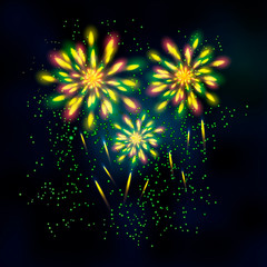 Fototapeta premium Firework at the night sky. Vector ullustration