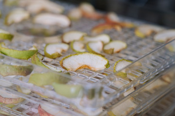 Dehydrating sheets with pieces of apples. Vegetarian apple chips in food dryer. Slices apples. Healthy and nutrition concept. Selective focus. Shallow depth of field