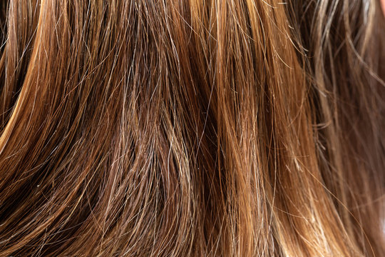 close up on brittle brown brunette women hair