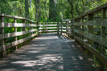 Deck Walkway