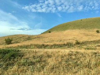 Fototapeta premium landscape with green field and blue sky