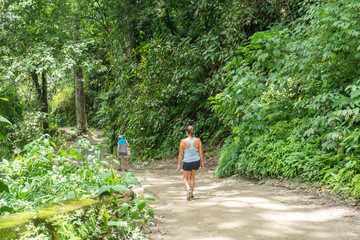 La vegetacion en Minca, Santa Marta