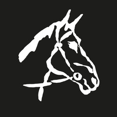 Horse © ZYTA.eM