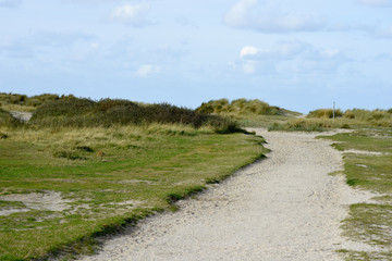 road in the sea field