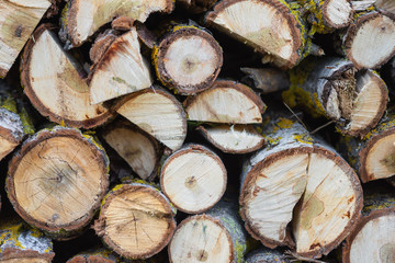  Stack of logs. Stack of firewood close up. Logs cuts prepared for fireplace. Woodpile. Wood for fireplace. Wood for winter. Firewood background .