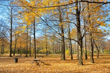 Autumn Park View 4
