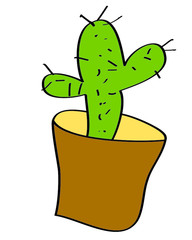 green cactus in a brown pot
