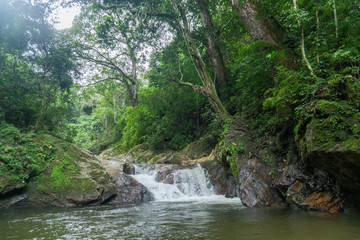 La cascada en Minca, Santa Marta